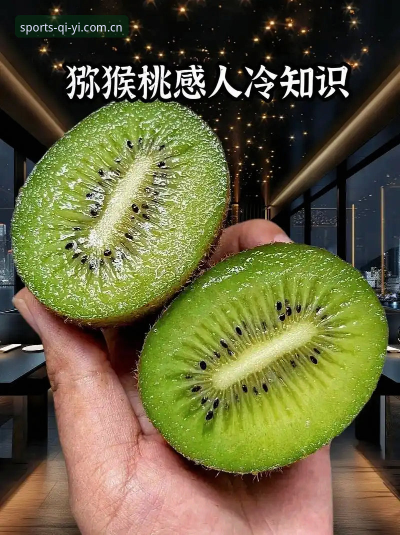 奇异果体育登录常见问题 奇异果体育登录常见问题详解:从账户异常到版本兼容的完整指南
